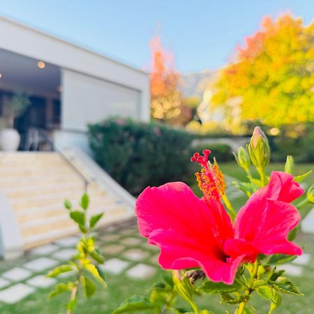 Residence Vive La Vie Franschhoek Bagian luar foto
